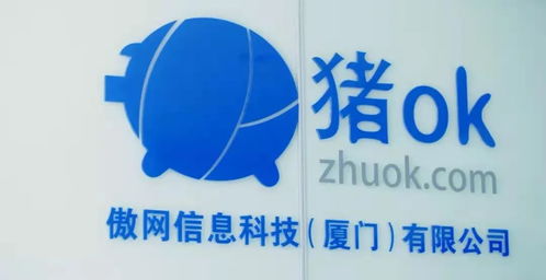 隱形廈門股 有哪些 這六家熟悉的上市企業(yè)注冊地并非廈門 丨觀瀾財經(jīng)